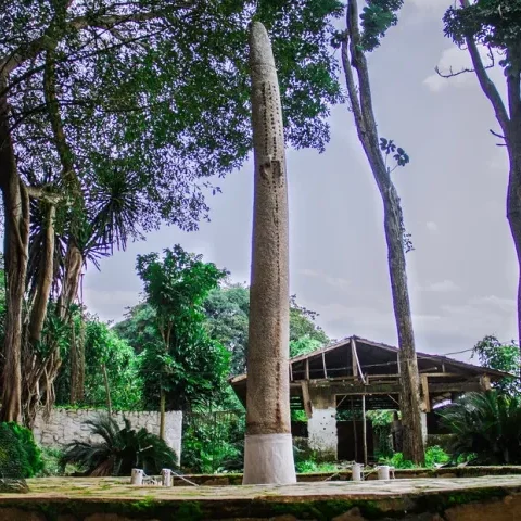 41558966142_30456a261e_b (1)