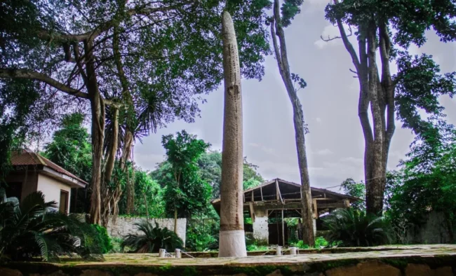 41558966142_30456a261e_b (1)