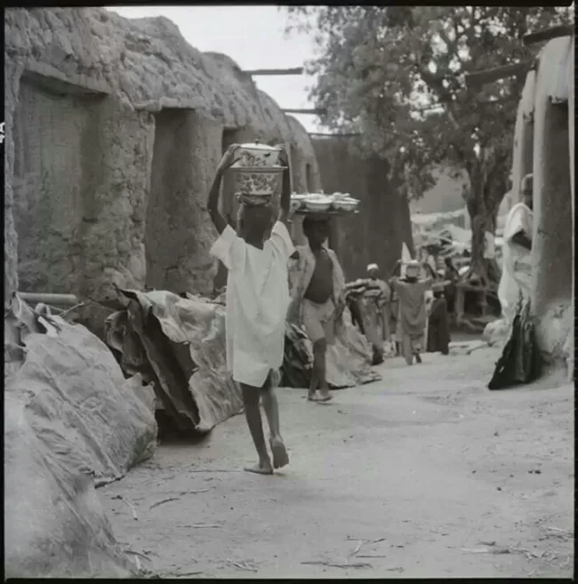 ed5a4558d956d83278203d695a5d22c2