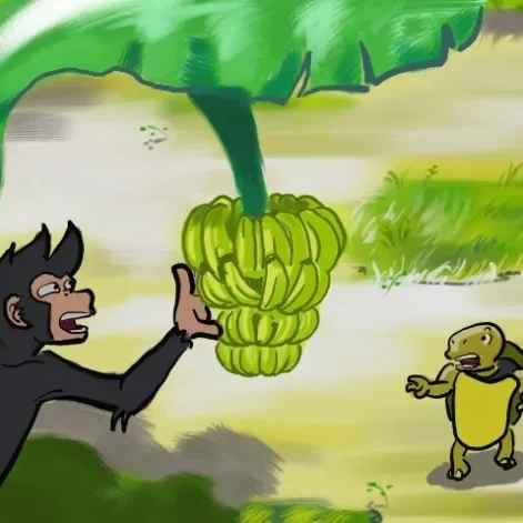 monkey-and-tortoise
