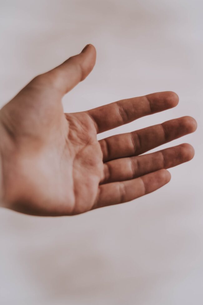 photo-1549706844-5ca4f36b20a8