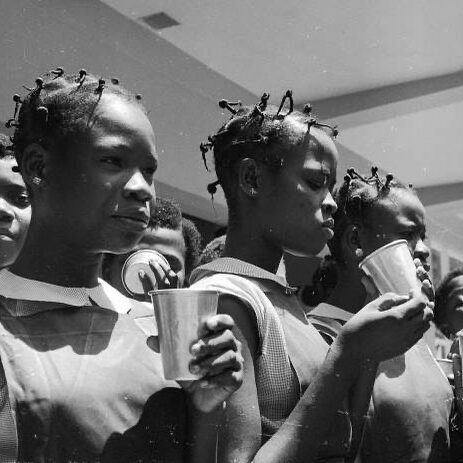 412365179_665685868802143_233097074101511332_n