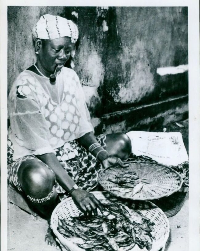 342372423_547283740797683_3642090492290868414_n