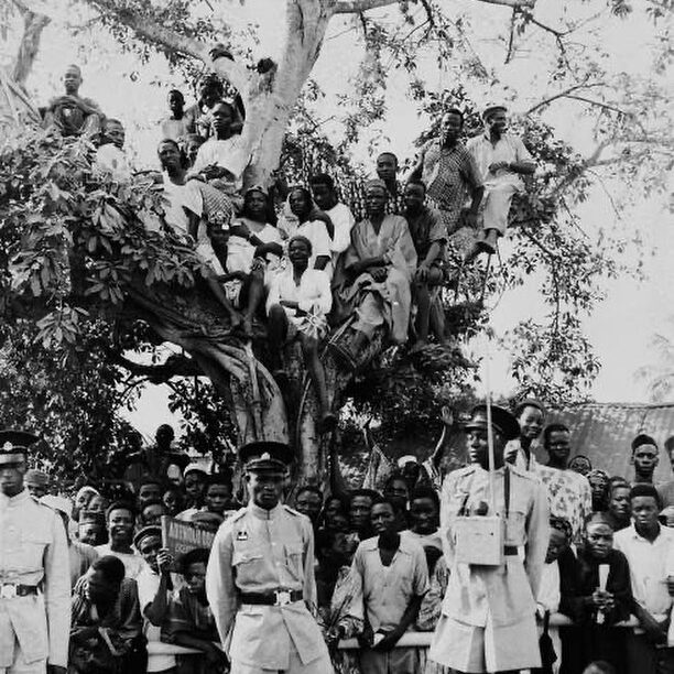 380684955_210038171907243_7888881680115310499_n