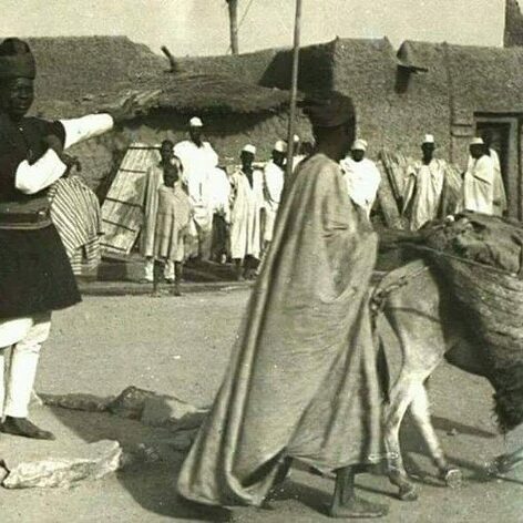 384072533_273666195593598_2499546397990094476_n