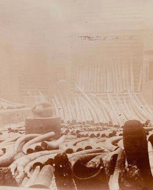 429314674_954422442769086_192846975330704066_n