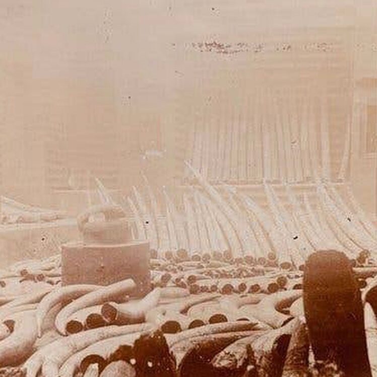 429314674_954422442769086_192846975330704066_n