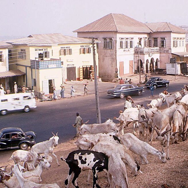 368119227_310956294939178_5673060654165815291_n