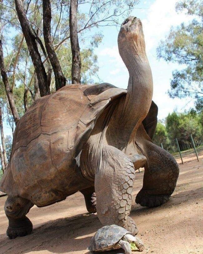 424437722_934986951310223_3372512565503496429_n