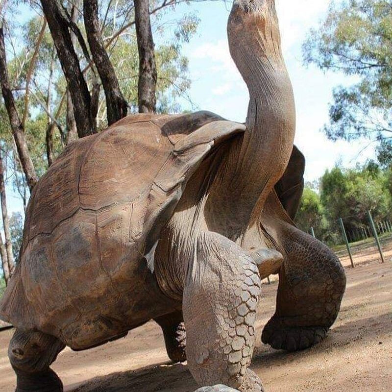 424437722_934986951310223_3372512565503496429_n