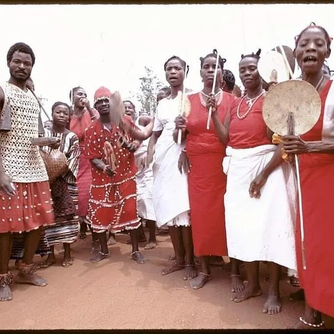 329241120_164043312918397_6831472005256567174_n