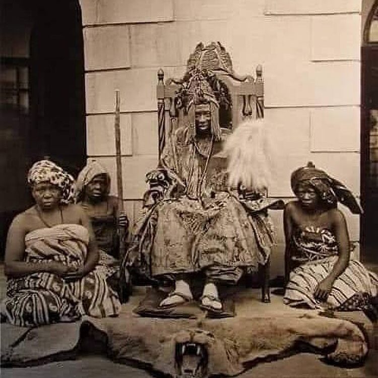 341741924_245266517885866_7009163148930074243_n