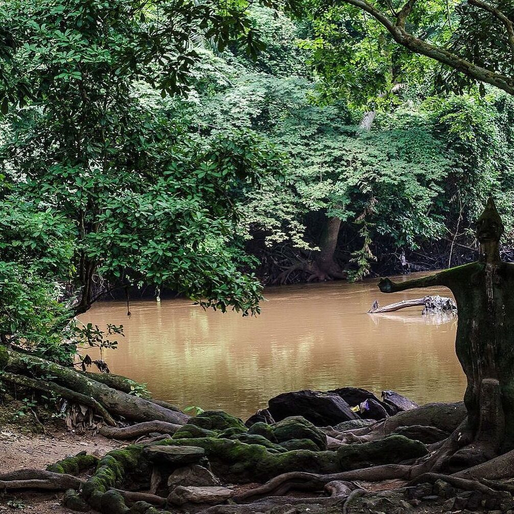 351023528_783566539941315_1641865043826413886_n