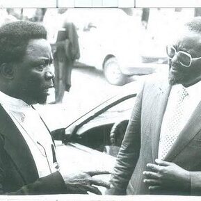 434417269_900635695195785_8328876880335655811_n