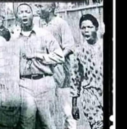 440102842_1410479136263719_6700349101533370889_n