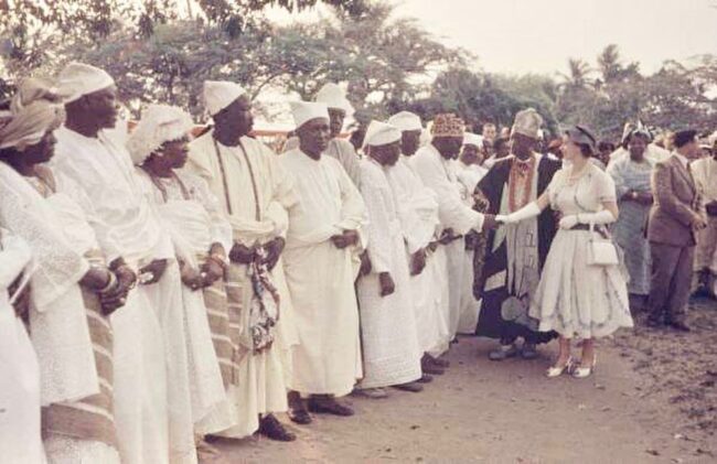 mini_magick20240712-3854-cytlg1