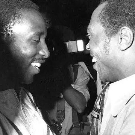 mini_magick20240724-47341-xx5dv4