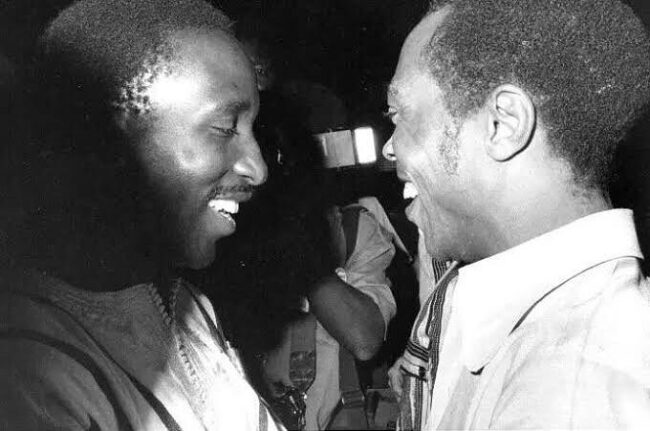 mini_magick20240724-47341-xx5dv4