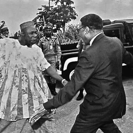 337876244_3462373220690516_680767424181581616_n