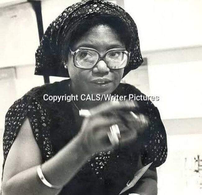 mini_magick20241029-41709-n2v6qd