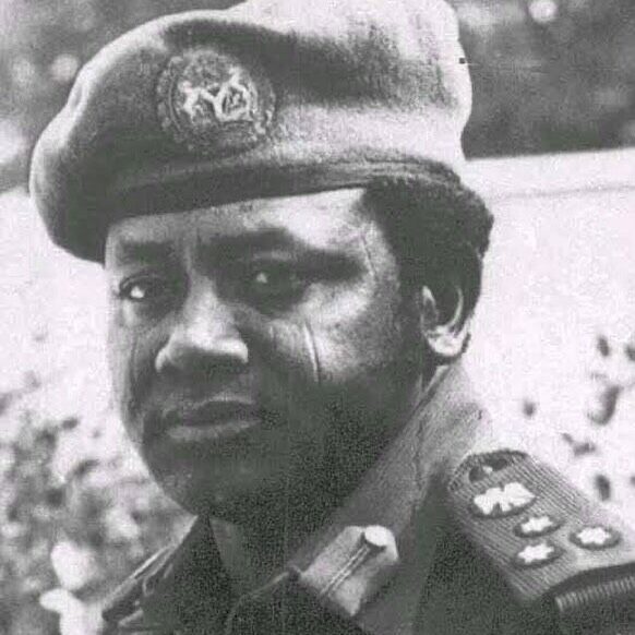 mini_magick20241119-3579-blktcs