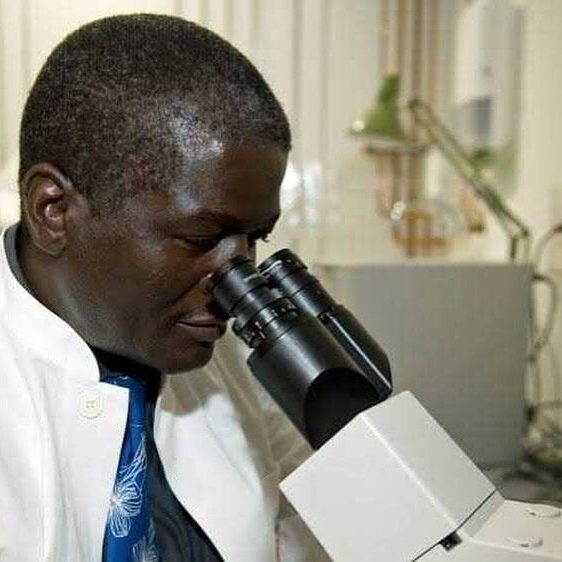 mini_magick20241123-29446-zjt8na